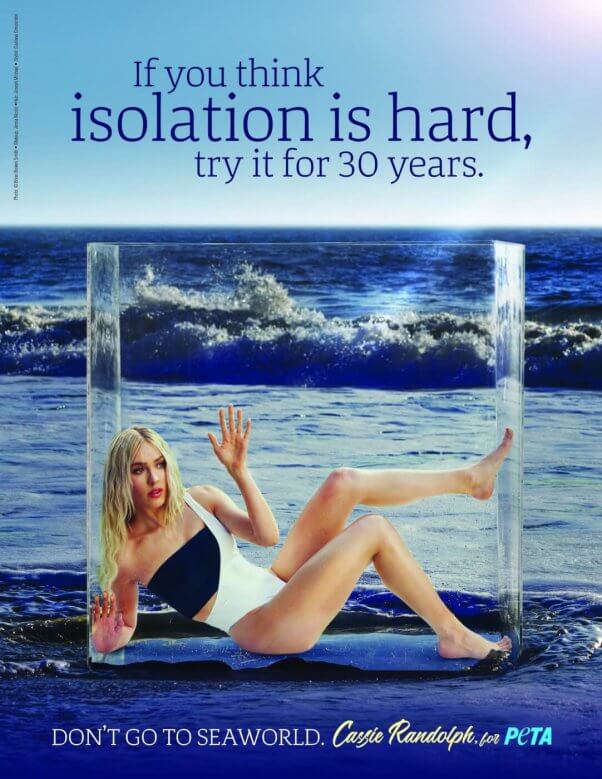 Cassie Randolph in a peta ad to save the whales and dolphins at SeaWorld