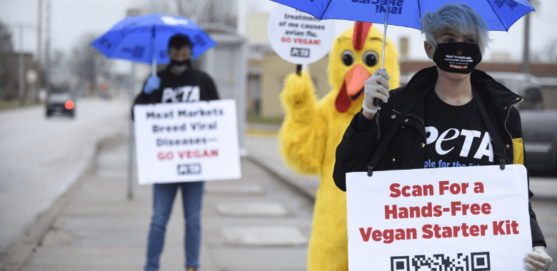 PETA protesters and "Corona Chicken" stand in the streets