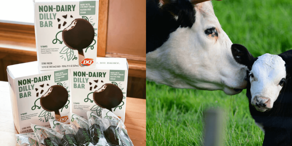 Dairy Queen Will Launch Vegan Dilly Bars Nationwide PETA