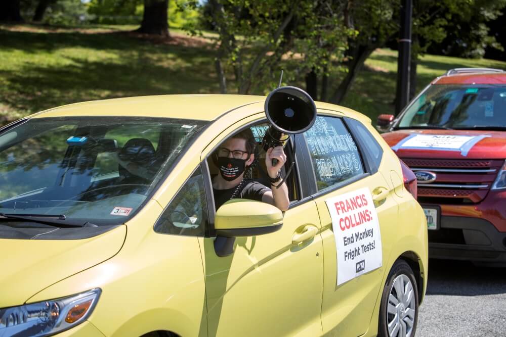 drive-by protest