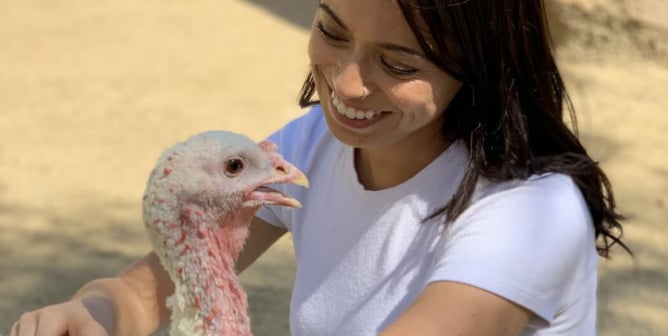 why do people go vegan