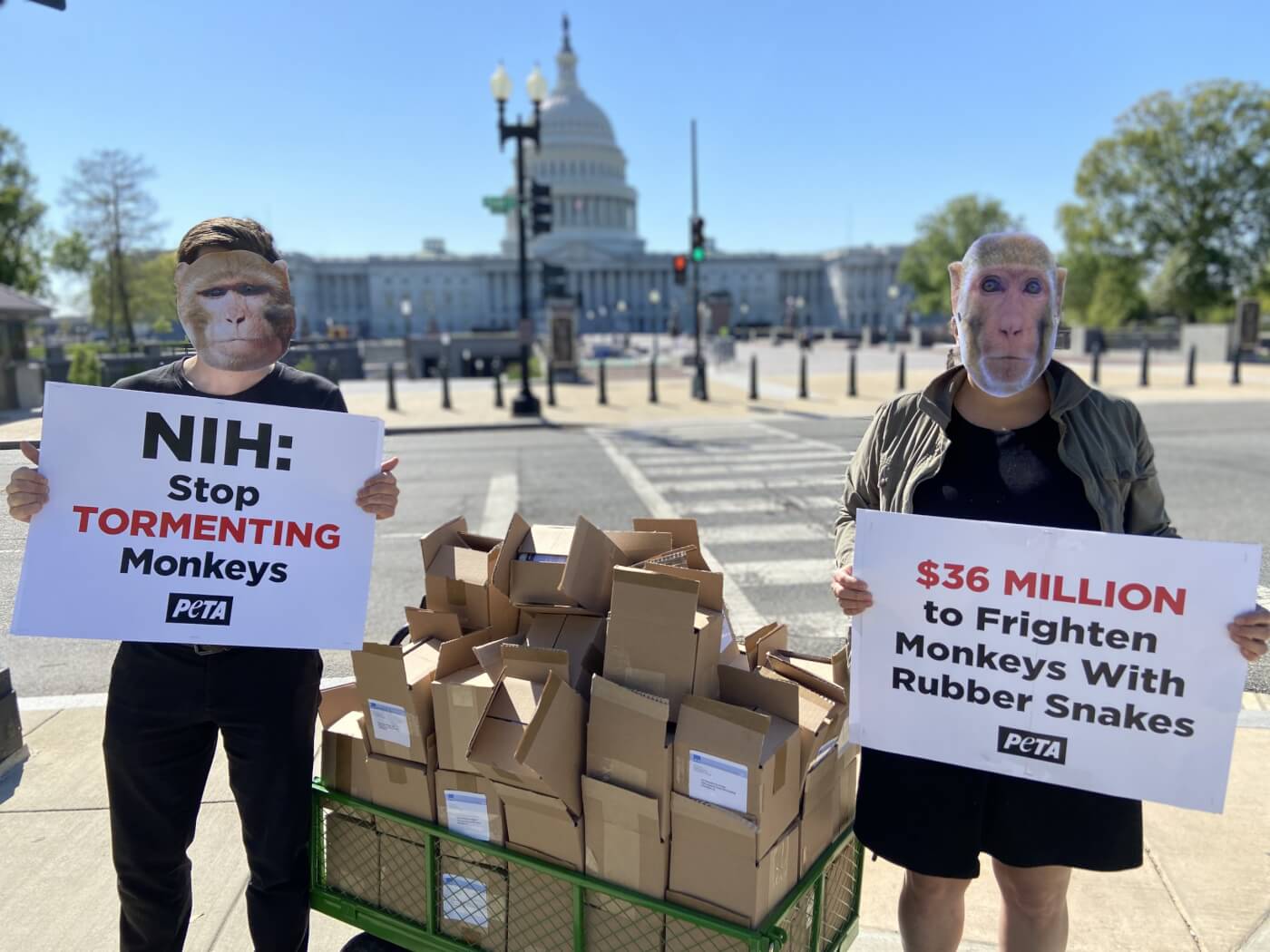 PETA Demo Staff Capitol Building Custom Toilet Paper Monkey Masks