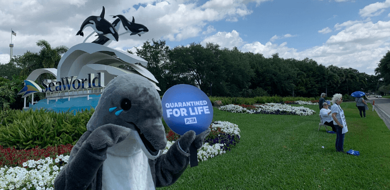 "Crying Dolphin" stands in front of SeaWorld sign