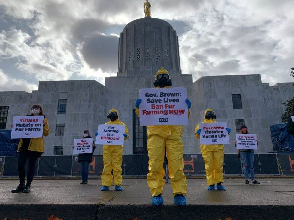 protesters wearing hazmat suits and holding signs condemning fur farms