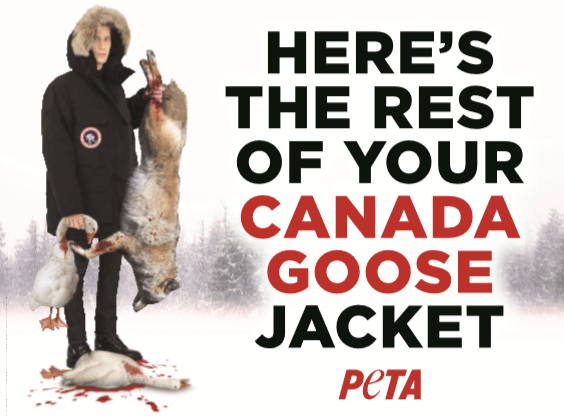 Anti Canada Goose Ad