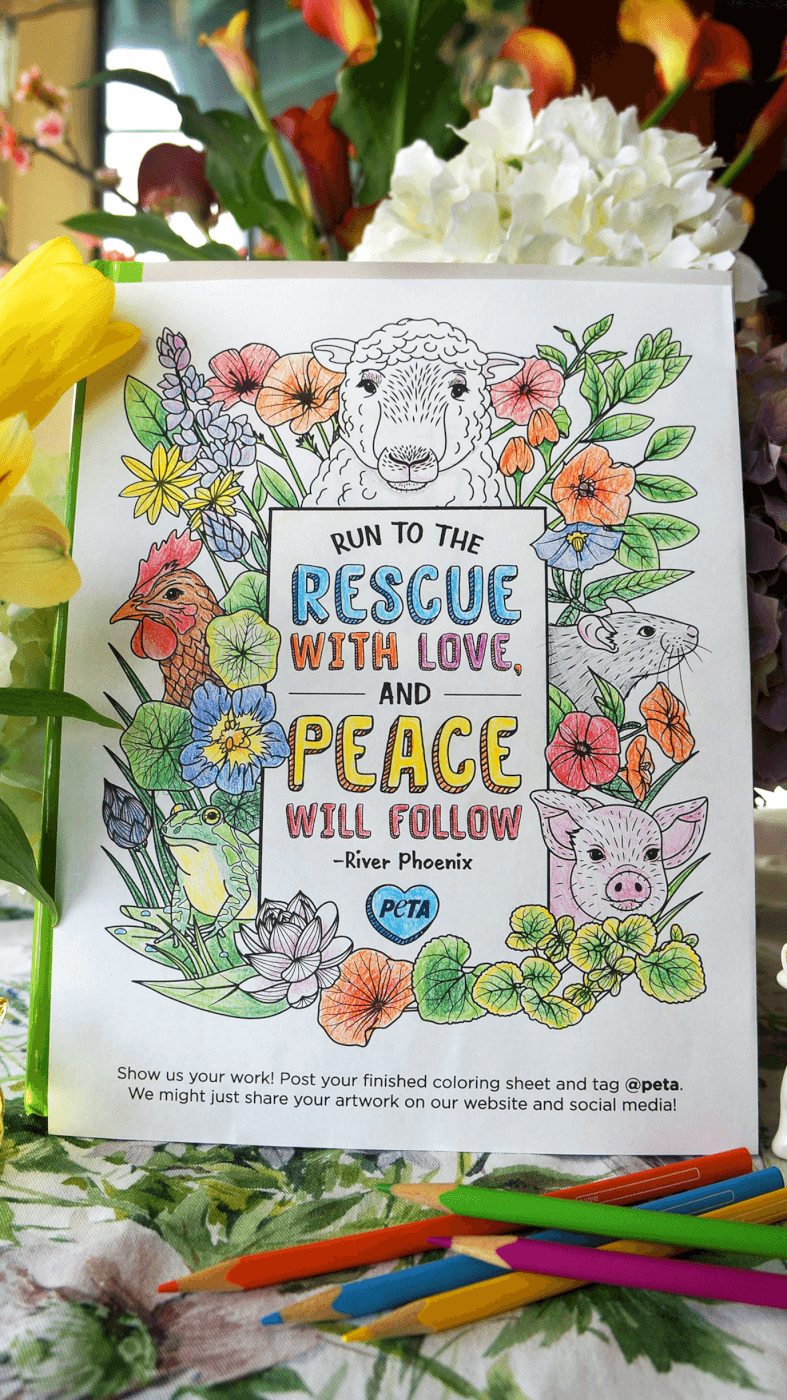 River Phoenix lyric coloring page by PETA