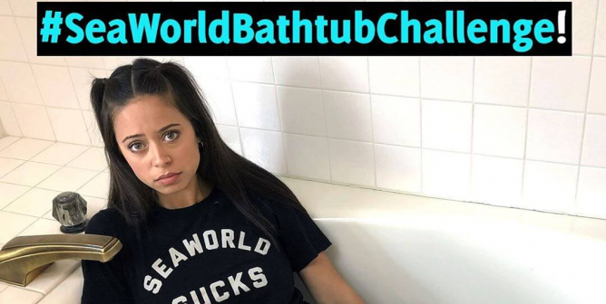 PETA Supporter in Bathtub Protesting SeaWorld
