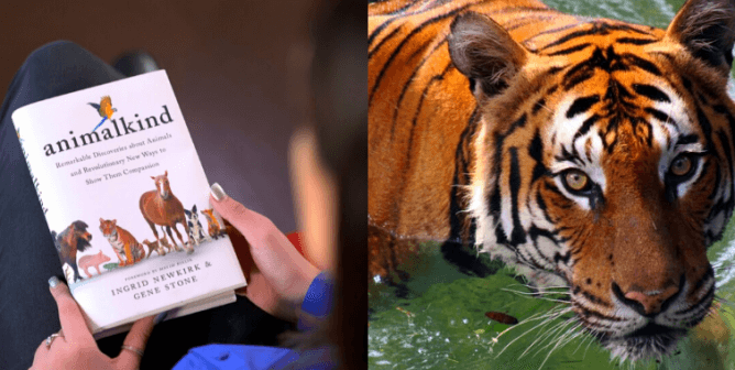 Animalkind and tiger