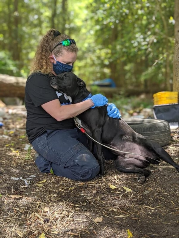 peta fieldworker and dog