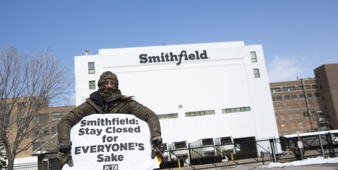 PETA supporter in front of closed Smithfield