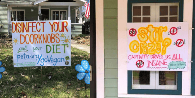 posters for indoor activism