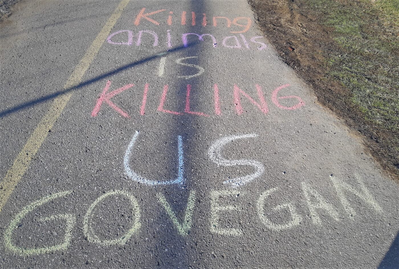 Get the Word Out for Animals While Staying In | PETA