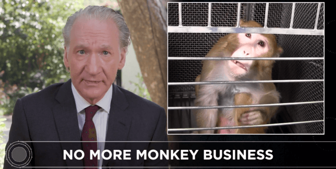 Bill Maher and monkey caged