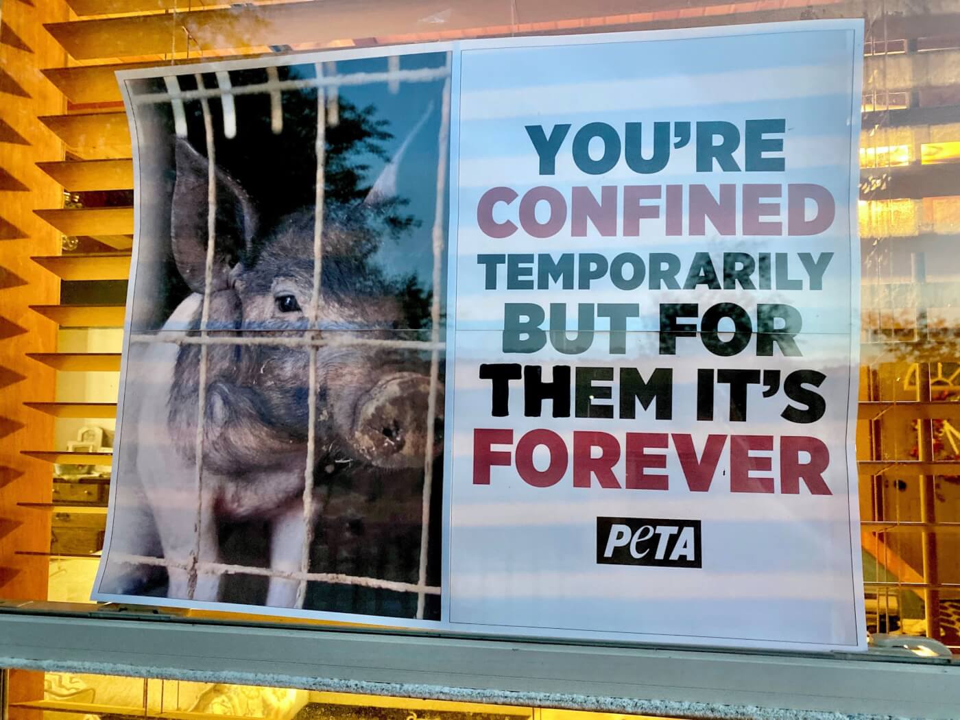 print-your-own-animal-rights-posters-at-home-peta