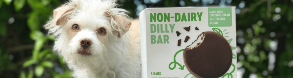 Dairy Queen Vegan Dilly Bar