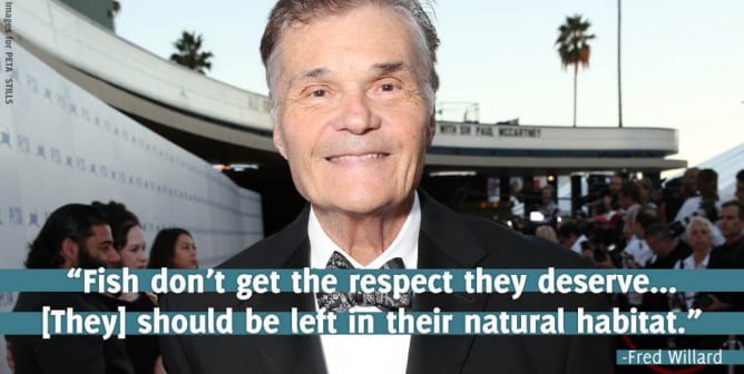 Fred Willard