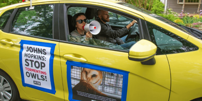 JHU protest for owls