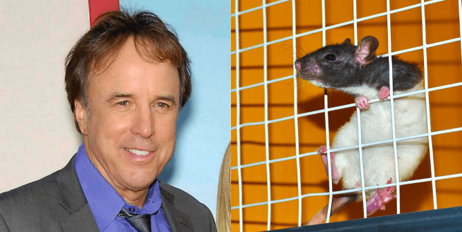 Kevin Nealon and rat with orange background