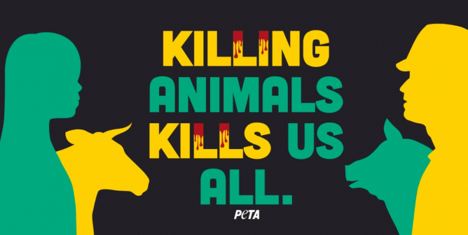 Killing Animals Kills Us All