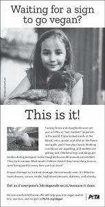 Peta campaign analysis essay 04 picture