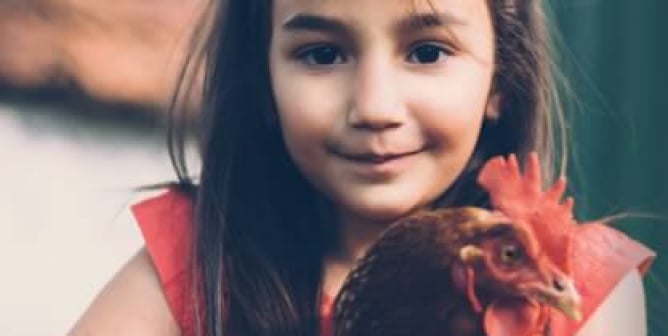 Close the slaughterhouses billboard girl with chicken