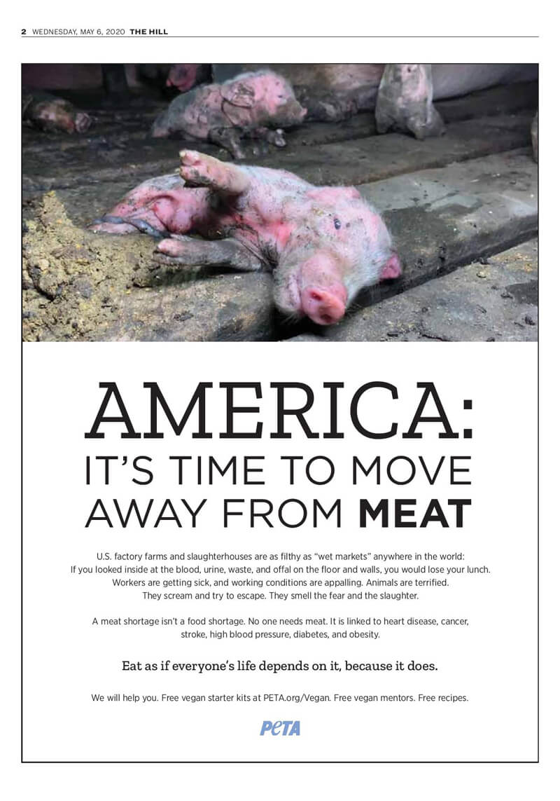 move away from meat peta campaign hits top u.s. newspapers