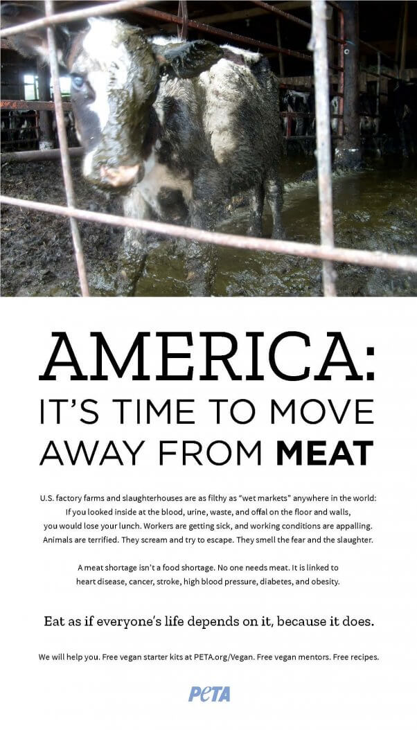 Time to Move Away From Meat