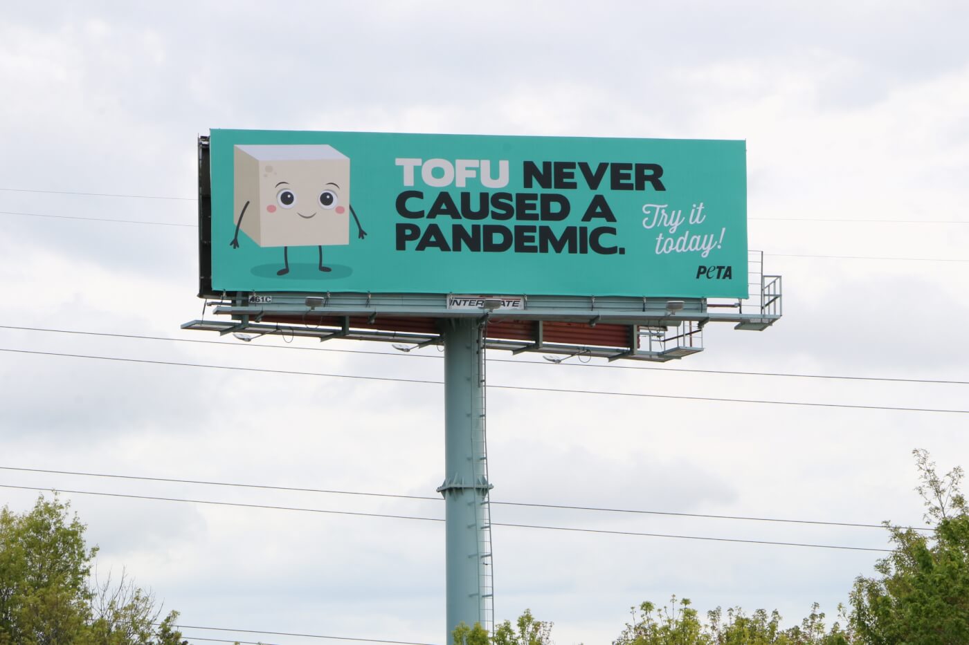 Tofu Never Caused a Pandemic Billboard