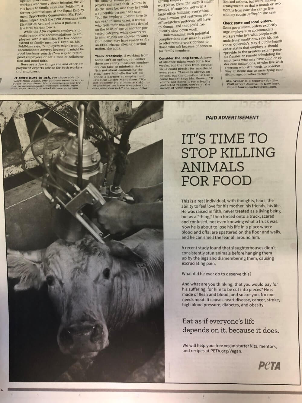 Wall Street Journal Ad