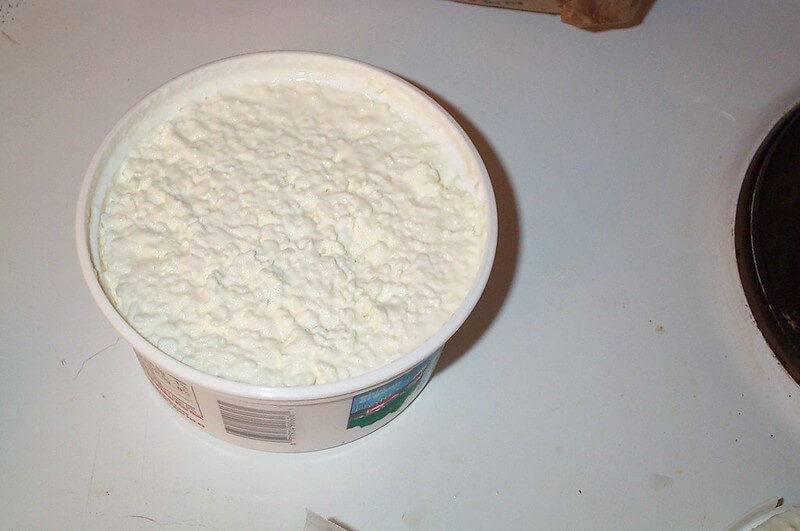 What Makes Cottage Cheese Really, Really Gross PETA