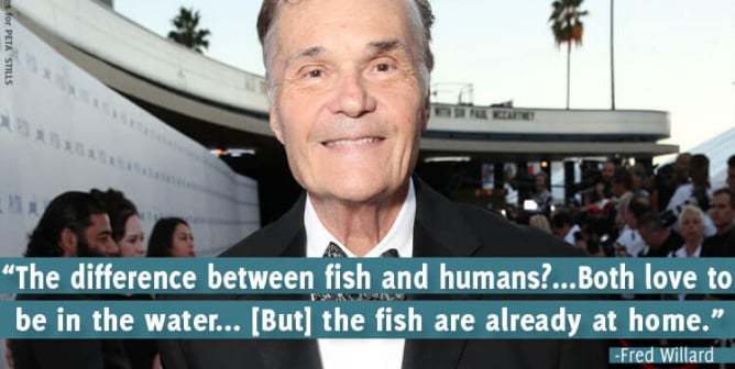Fred Willard quote on Betta Fish