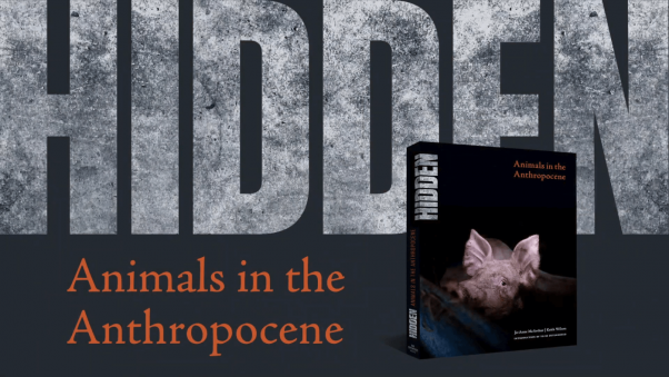 new book "HIDDEN: Animals in the Anthropocene"