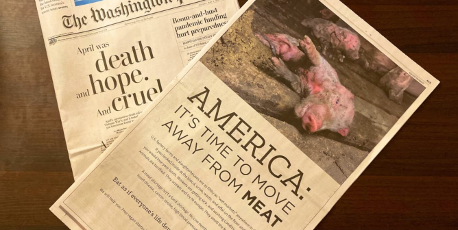 Washington Post PETA ad