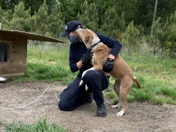 PETA fieldworkers love helping animals