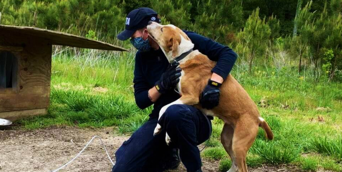 PETA fieldworker gets kisses from a dog