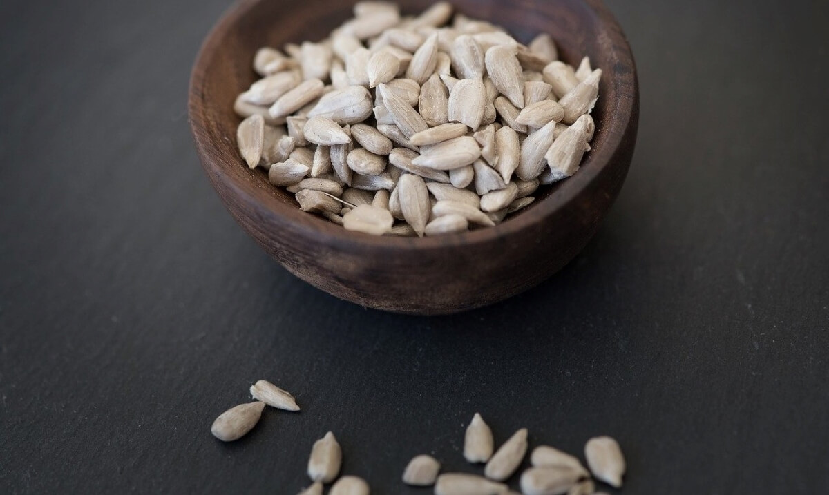 Sunflower Seed Cheese