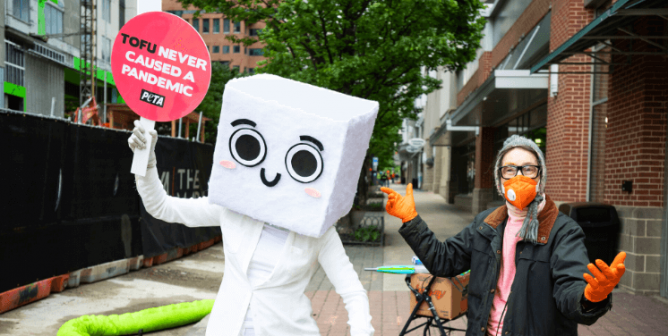 Tofu costume and shopper