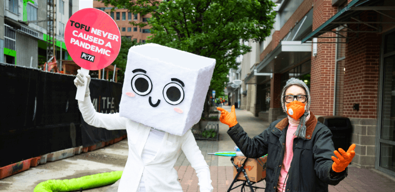 Tofu costume and shopper