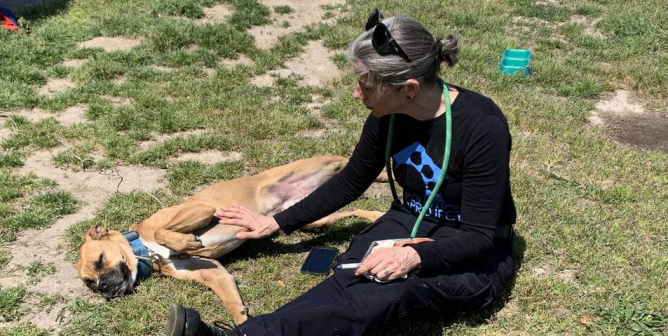 Broken Bones, New Families—Animals Who Need Help Count on PETA Fieldworkers