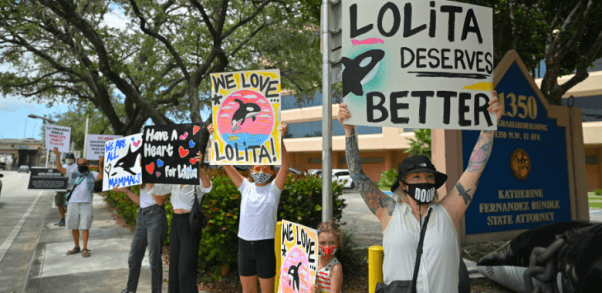 Protest in Miami for Lolita Seaquarium