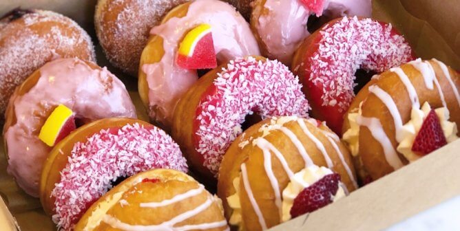 Vegan Donuts Lovebird