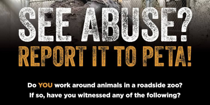 See Abuse? Report It to PETA!