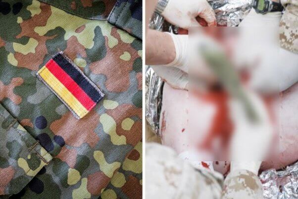 photo of animal used for live tissue training next to image of German armed forces uniform