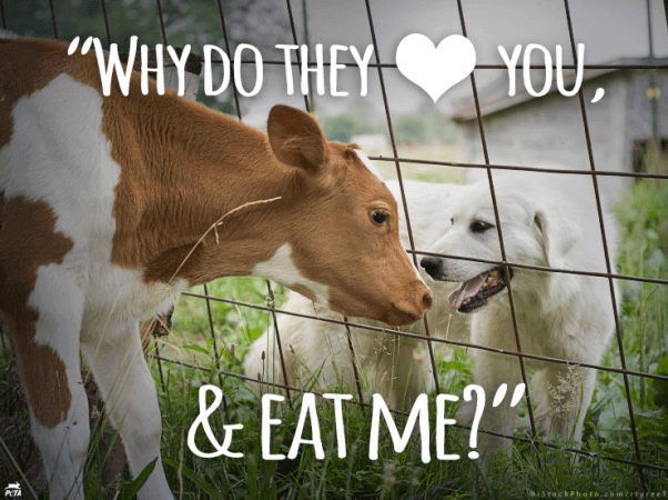 Unlearning Speciesism: A Lesson in Media Literacy | PETA Unlearning Speciesism: A Lesson in Media Literacy | PETA