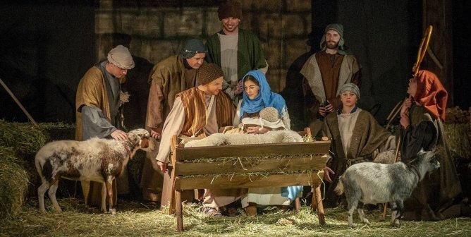 Animals in Live Nativity Scenes