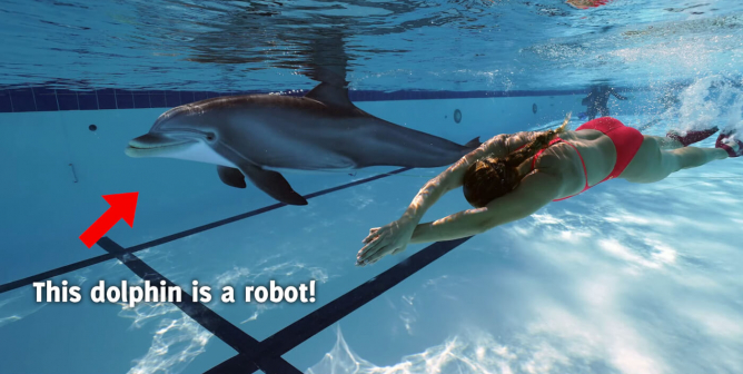 robotic dolphin