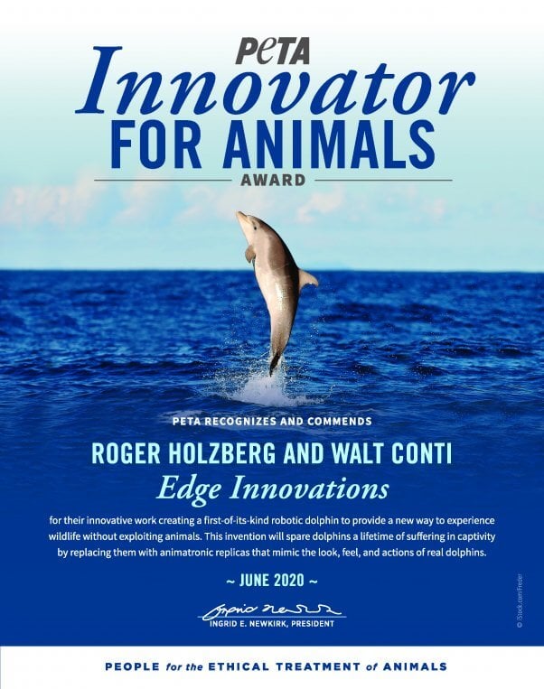 robotic dolphin innovators earn award