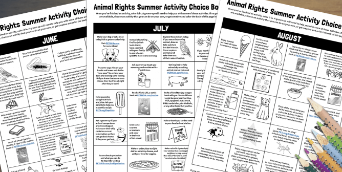 Summertime Kindness to Animals Activity Choice Boards