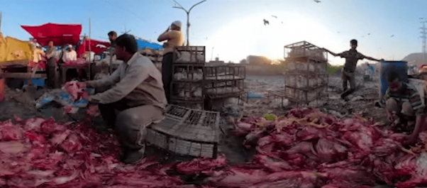 People working in India Live-Animal Market