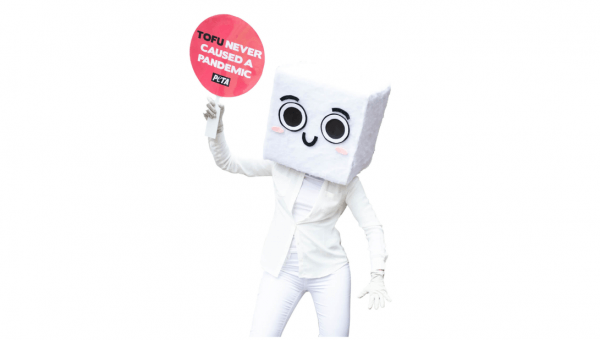 halloween costume